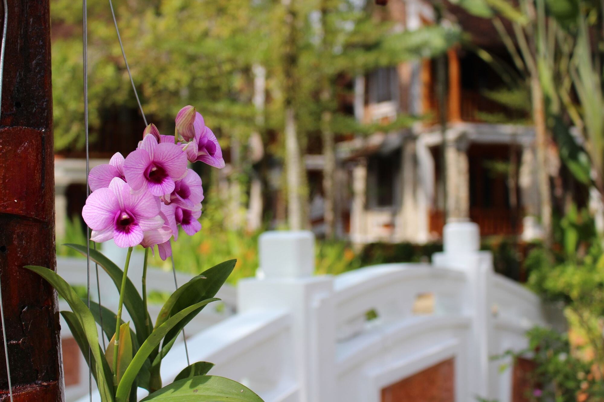 Ancient Village Phu Quoc Resort Esterno foto